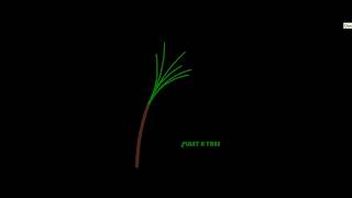 Animate a tree with Python (Using Turtle Module)