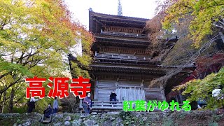 高源寺  紅葉　天目かえで