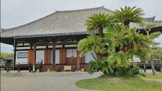 奈良県奈良市　法華寺　観光