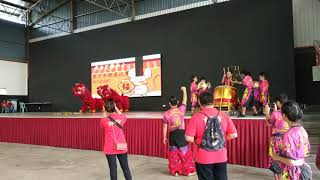 Chinese New Year Lion Dance performance at SJKC Bukit Tangga