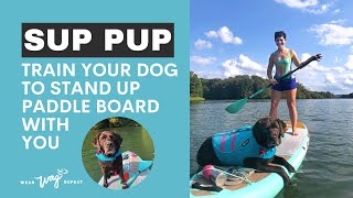 Train Your Dog to Stand Up Paddleboard With You: Large Breed Dogs