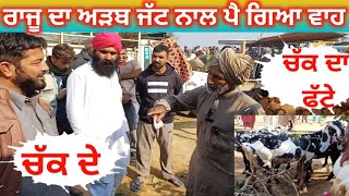 ਰਾਜੂ ਦਾ ਅੜਬ ਜੱਟ ਨਾਲ ਪੈ ਗਿਆ ਵਾਹ | #goatstar #rajudirba #farming #punjab 2024