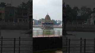 Thiruvalluvar Sri Veera ragahava swamy temple kolam 🙏🙏🙏#shorts #youtubeshorts #shortsfeed #perumal