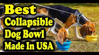 Best Collapsible Dog Bowl Made In USA