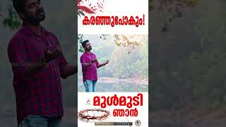 Mulmudi njaan |  മുൾമുടി ഞാൻ  .....  @JinoKunnumpurathu       #shorts