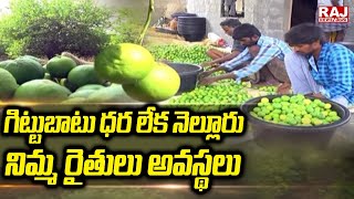 గిట్టుబాటు ధర లేక నెల్లూరు నిమ్మ రైతులు అవస్థలు | Nellore lemon farmers | Raj News Telugu