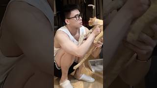 我的暖男男友生氣時真的很容易哄！BL TikTok Video /同志夫夫 / BL Cute gay couple