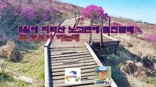 지리산 노고단 털진달래(#지리산, #노고단, #진달래, #털진달래, #봄, #트레킹)