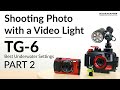 Olympus TG-6 | Shooting Photos with a Video Light | Best Underwater Camera Settings: Part 2