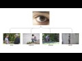 eyecontext recognition of high level contextual cues from human visual behaviour chi 13