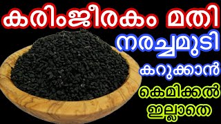 കരിംജീരകം മതി നരച്ചമുടി കറുക്കാൻ കെമിക്കൽ ഇല്ലാതെ|100% Natural Hair Dye