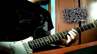 Brutal Truth - Denial Of Existence (Guitar Cover)