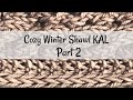 Cozy Winter Shawl KAL part 2