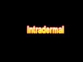 What Is The Definition Of Intradermal Medical School Terminology Dictionary