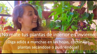 Como cuidar de PLANTAS DE INTERIOR en INVIERNO