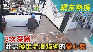 3次深蹲 壯男摸走流浪貓狗的愛心錢｜TVBS新聞