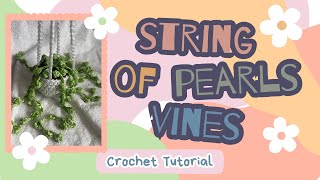 🧶 Crochet Tutorial: How to Make a String of Pearls Vines 🌿 Make your own plant!