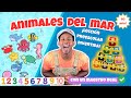 CANTA y APRENDE con Pancho| LOS NUMEROS, LOS COLORES, ANIMALES DEL MAR Y MAS| DESAROLLO DEL LENGUAGE