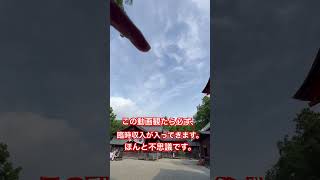 迷いに迷って公開※何度も消された本物映像です。縁のある人にしか見れません。見た人はかなりの強運になるでしょう。