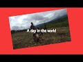 a day in the world || oneM tv