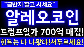 [알레오 코인] 🛑트럼프일가 700억 매집!힌트는 다 나왔다!!서두르세요!!#알레오코인  #비트코인