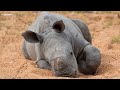 LIVE at the waterhole - 14 January 2026