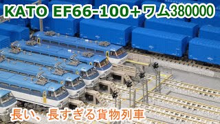 【Ｎゲージ】長い長すぎる！！ 貨物列車 KATO EF66-100 と ワム380000