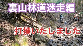 裏山林道迷走編　打撲強制終了しました