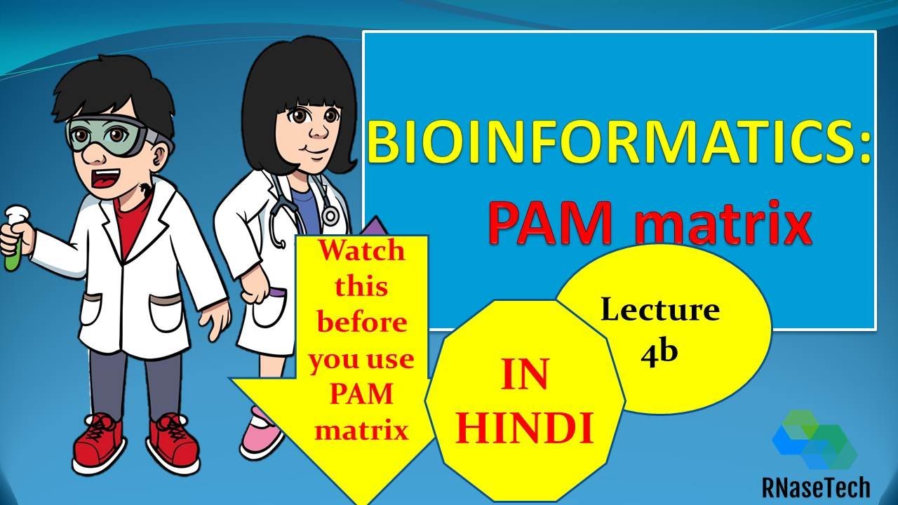 Lecture 4b In Hindi PAM Substitution Matrix || How To Create PAM Matrix ...