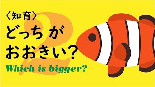 【シンプル知育】どっちが おおきい？  その2