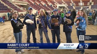 Wake Up Call: PA Farm Show Rabbit Court