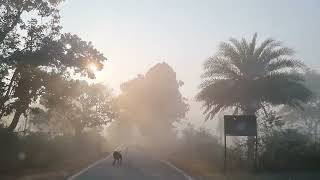 15 minutes of serene drive at Daringbadi, Odisha