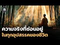 หากท่านกำลังเจออุปสรรค ขอให้นึกถึงปรัชญานี้ (The Bamboo tree) | THE PHILOSOPHY