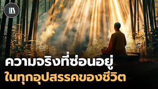 หากท่านกำลังเจออุปสรรค ขอให้นึกถึงปรัชญานี้ (The Bamboo tree) | THE PHILOSOPHY