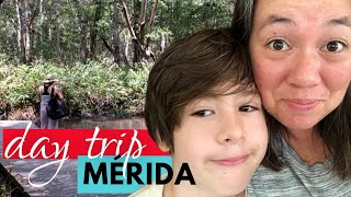Merida Mexico Beaches | Celestun | Single Mom Travel