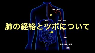 The Lung Meridian