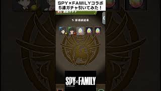 （SPY×FAMILYコラボ）魂の5連ガチャを引いてみた #shorts