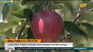 «Алма fest» собрал тысячи алматинцев и гостей города