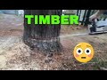 Milling Lumber With Woodmizer LT15