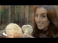 Find and Identify the Matsutake Mushroom - Pine Mushroom -  S2E8