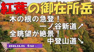 【紅葉の御在所岳】見える眺望の全てが絶景！一ノ谷新道↗ 中登山道↘20211101