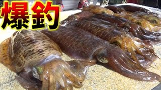 魚船に乗ったら２ｋｇ超えのイカが狙えるはず！大作戦#2