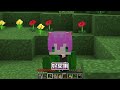 minecraft：無限堆疊道具！用超稀有物品進行【外掛合成】做出世界上最強武器！輕鬆達成全自動挖礦！還能站著不動看怪物被秒殺！99%玩家絕對都想要😂！｜全字幕【禾卯－當個創世神】