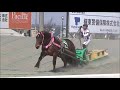 平成31年度第1回ばんえい競馬能力検査（2019.4.14）