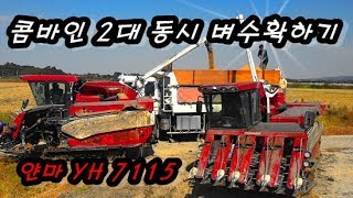 7조 콤바인 2대동시 벼수확하기(얀마 YH7115) yanmar YH7115 combine