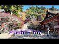 談山神社 紅葉のはじまり　2024年11月14日