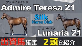 【一口馬主】シルク出資馬確定＆票読み答え合わせ。今年は作戦通りに行きましたが、やっぱり値上げし過ぎですよ。。。