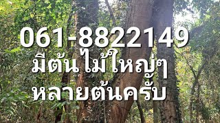 ขายที่ดินวิวเขาสวย 6ไร่1งาน ไร่ละ 1,500,000 บาท ต.เขาพระ อ.เมือง จ.นครนายก 061-8822149