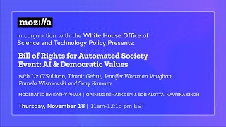 White House Panel: AI & Democratic Values