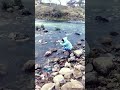 #river #viralshorts #youtube #music #viral#video  #shorts #instagram #minecraft